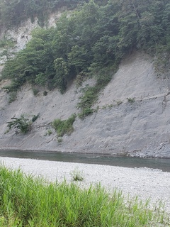 20190817_160619.jpg