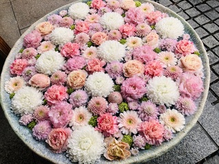 IMG_1880.jpeg