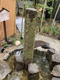 IMG_1882.jpeg
